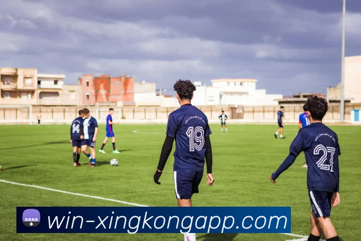 App Interface Preview