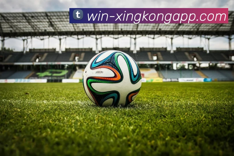 星空体育APP 封面图